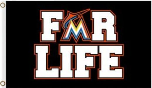 Miami Marlins For Life flag 3X5Ft Banner USA Polyester with Brass Grommets