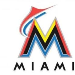 Miami Marlins White US flag 3X5Ft Banner USA Polyester with Brass Grommets