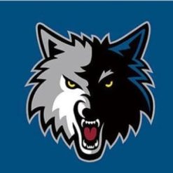 Minnesota Timberwolves Blue Flag 3X5Ft Polyester Banner USA Digital Print