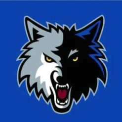 Minnesota Timberwolves Blue US Flag 3X5Ft Polyester Banner USA Digital Print
