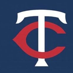 Minnesota Twins Custom US Flag 3X5Ft Banner USA Polyester with Brass Grommets