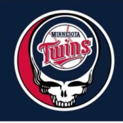 Minnesota Twins Dead Skull Flag 3X5Ft Banner USA Polyester with Brass Grommets