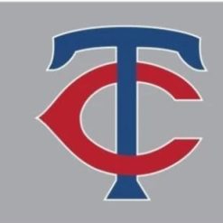 Minnesota Twins Gray Flag 3X5Ft Banner USA Polyester with Brass Grommets