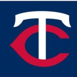 Minnesota Twins Logo Blue Flag 3X5Ft Banner USA Polyester with Brass Grommets