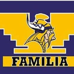 Minnesota Vikings Familia Flag 3X5 Ft Polyester Banner USA 90x150cm