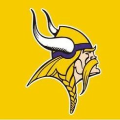 Minnesota Vikings Logo Sport Team Flag 3X5 Ft Polyester Banner USA 90x150cm
