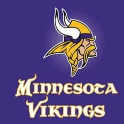 Minnesota Vikings Team Flag 3X5 Ft Polyester Banner USA 90x150cm