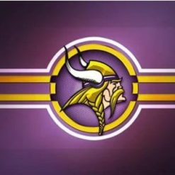 Minnesota Vikings Team US Flag 3X5 Ft Polyester Banner USA 90x150cm