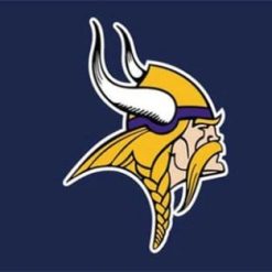 Minnesota Vikings Team US Sports Club Flag 3X5 Ft Polyester Banner USA 90x150cm