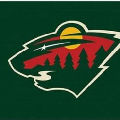 Minnesota Wild Star Custom Flag 3X5Ft Polyester Digital Print Banner USA
