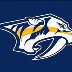 Nashville Predators Custom Flag 3X5Ft Polyester Digital Print Banner USA