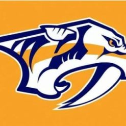 Nashville Predators Team Flag 3X5Ft Polyester Digital Print Banner USA