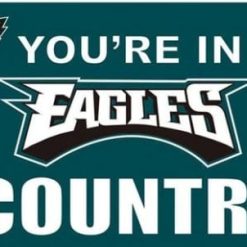 Philadelphia Eagles You Are In Country Flag 3X5 Ft Polyester Banner USA 90x150cm