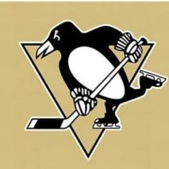 Pittsburgh Penguins Custom Flag 3X5Ft Polyester Digital Print Banner USA