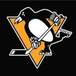 Pittsburgh Penguins Flag 3X5Ft Polyester Digital Print Banner USA