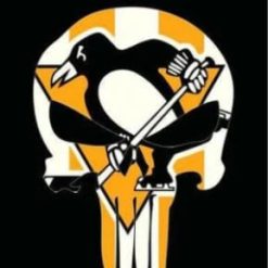 Pittsburgh Penguins Team Flag 3X5Ft Polyester Digital Print Banner USA