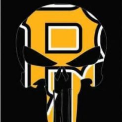 Pittsburgh Pirates Nation US Sport Flag 3X5Ft Banner USA Polyester with Brass Grommets
