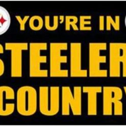 Pittsburgh Steelers You Are In Country Flag 3X5 Ft Polyester Banner USA 90x150cm