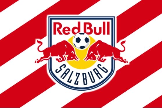 Red Bull Salzburg Flag 3X5 Ft Polyester Banner USA 90x150cm RedBull