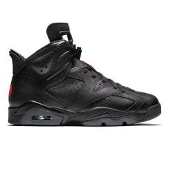 Air Jordan 6 Bin23 Shoes Sneaker