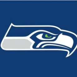 Seattle Seahawks Logo Stripe Flag 3X5 Ft Polyester Banner USA 90x150cm