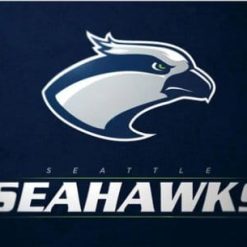 Seattle Seahawks Sport Club Flag 3X5 Ft Polyester Banner USA 90x150cm