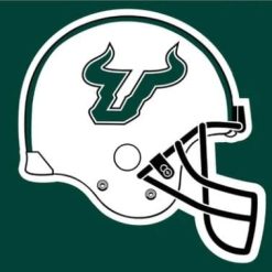 South Florida Bulls Helmet Flag 3X5ft Banner USA Polyester with 2 Brass Grommets
