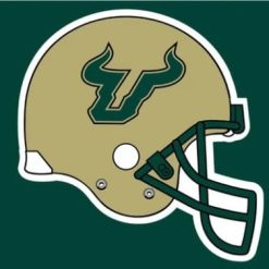 South Florida Bulls Helmet USA Flag 3X5ft Banner USA Polyester with 2 Brass Grommets