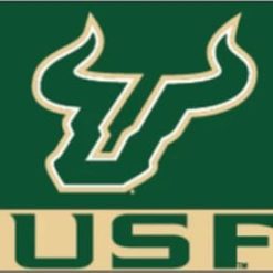South Florida Bulls Sport Flag 3X5ft Banner USA Polyester with 2 Brass Grommets