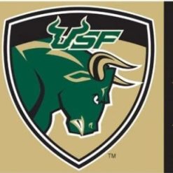 South Florida Bulls Sport USA Club Flag 3X5ft Banner USA Polyester with 2 Brass Grommets