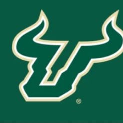 South Florida Bulls Sport USA Flag 3X5ft Banner USA Polyester with 2 Brass Grommets