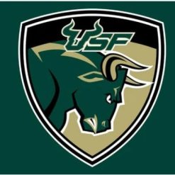 South Florida Bulls USA Flag 3X5ft Banner USA Polyester with 2 Brass Grommets