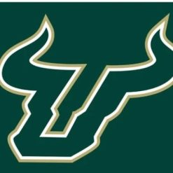 South Florida Bulls USA Sport Flag 3X5ft Banner USA Polyester with 2 Brass Grommets