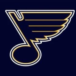 St. Louis Blues Team Flag 3X5Ft Polyester Digital Print Banner USA