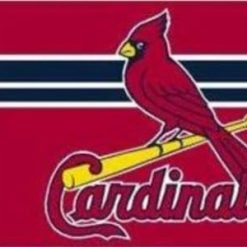 St. Louis Cardinals American Flag 3X5Ft Banner Polyester with Brass Grommets