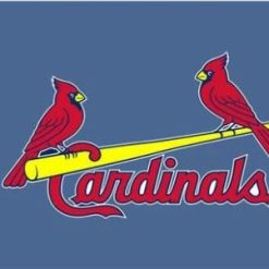St. Louis Cardinals Baseball Club Flag 3X5Ft Banner USA Polyester with Brass Grommets