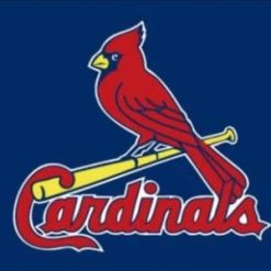 St. Louis Cardinals Blue Flag 3X5Ft Banner USA Polyester with Brass Grommets
