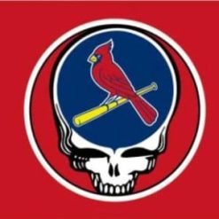 St. Louis Cardinals Deah Skull Flag 3X5Ft Banner USA Polyester with Brass Grommets