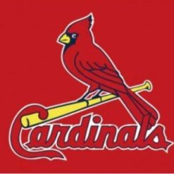 St. Louis Cardinals Red US Flag 3X5Ft Banner USA Polyester with Brass Grommets