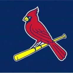 St Louis Cardinals Custom Flag 3X5Ft Banner USA Polyester with Brass Grommets