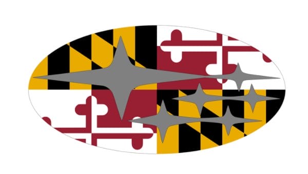 Subaru Maryland Flag Overlay Set Flag 3X5 Ft Polyester Banner USA 90x150cm