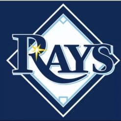 Tampa Bay Rays Blue flag 3X5Ft Banner USA Polyester with Brass Grommets