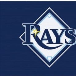 Tampa Bay Rays Custom flags 90x150cm Banner USA Polyester with Brass Grommets