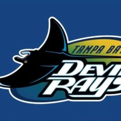 Tampa Bay Rays Devil Rays flag 3X5Ft Banner USA Polyester with Brass Grommets