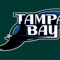 Tampa Bay Rays Logo flag 3X5Ft Banner USA Polyester with Brass Grommets