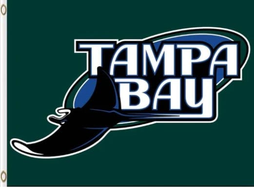 Tampa Bay Rays Logo flag 3X5Ft Banner USA Polyester with Brass Grommets