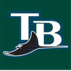 Tampa Bay Rays TB Logo flag 3X5Ft Banner USA Polyester with Brass Grommets
