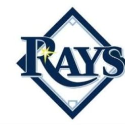 Tampa Bay Rays White US flag 3X5Ft Banner USA Polyester with Brass Grommets