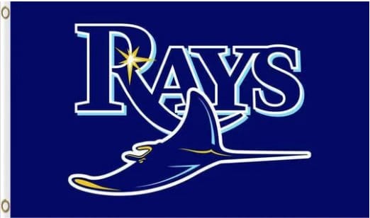 Tampa Bay Rays flag 3X5Ft Banner USA Polyester with Brass Grommets
