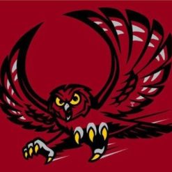Temple Owls Club Sport Flag 3X5ft Banner USA Polyester with 2 Brass Grommets